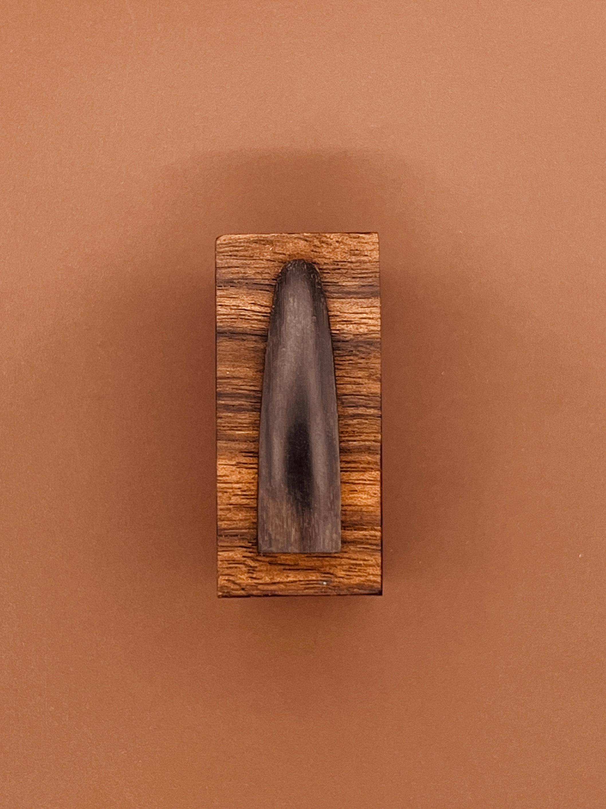 مضراب تار شاخ/ سرود