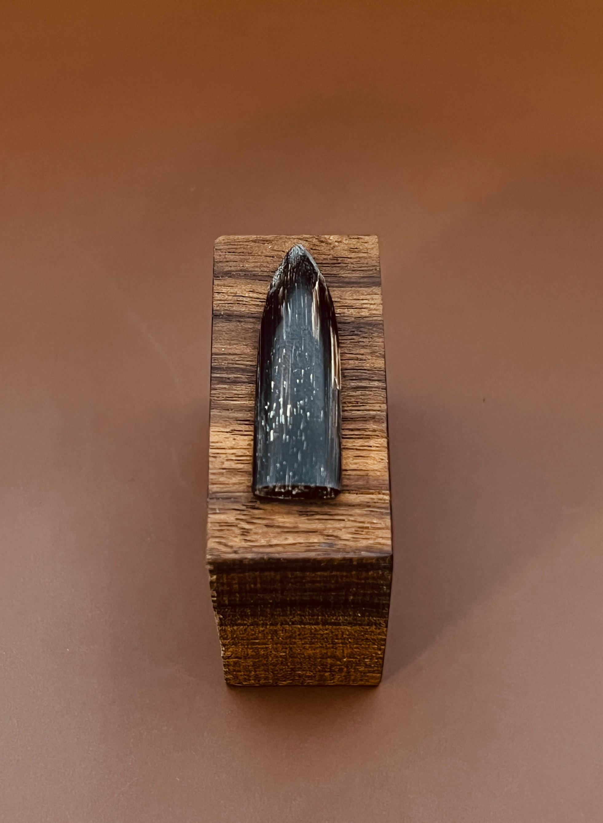 مضراب تار شاخ/ شولا