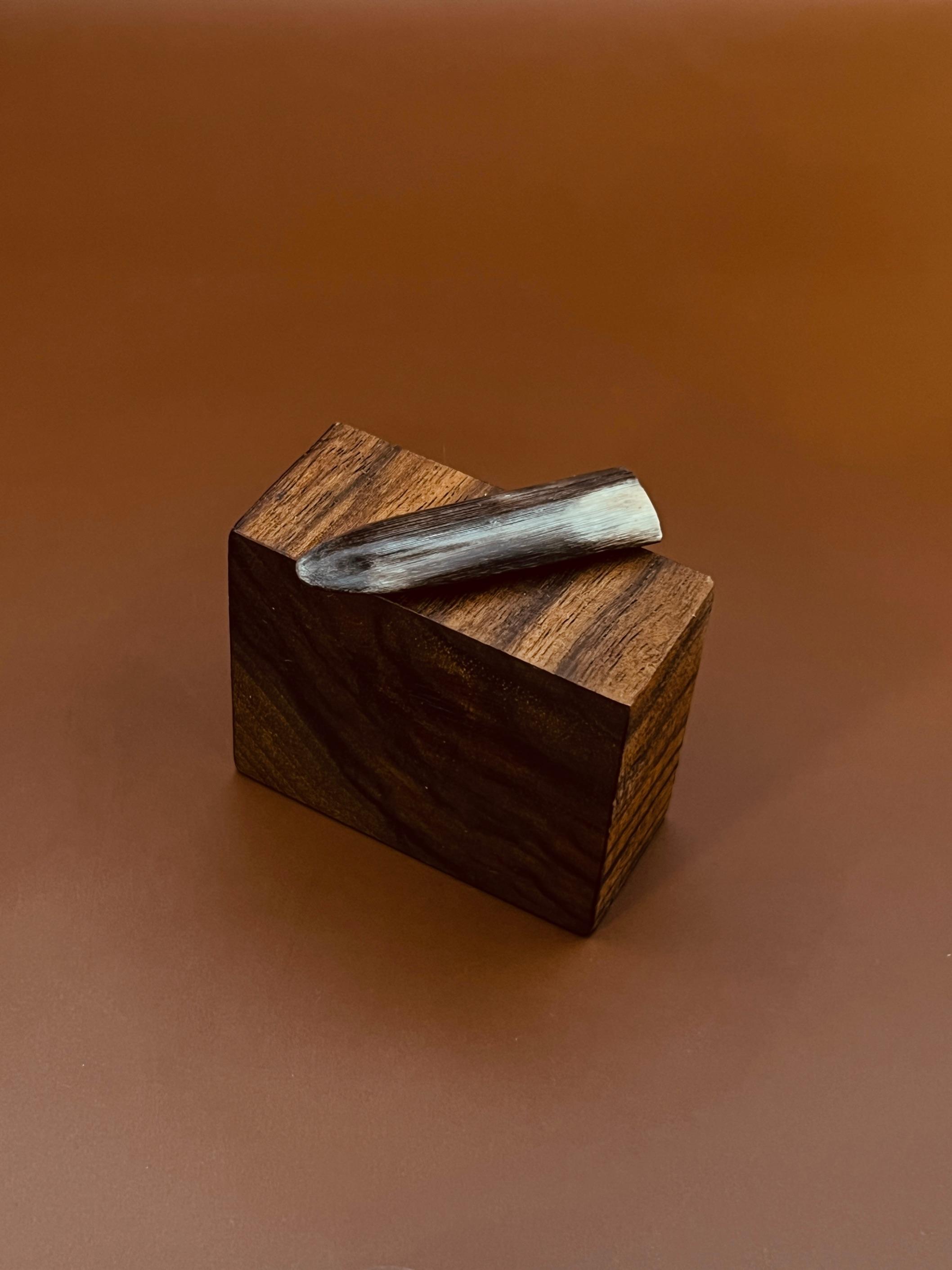 مضراب تار شاخ/ مقصود