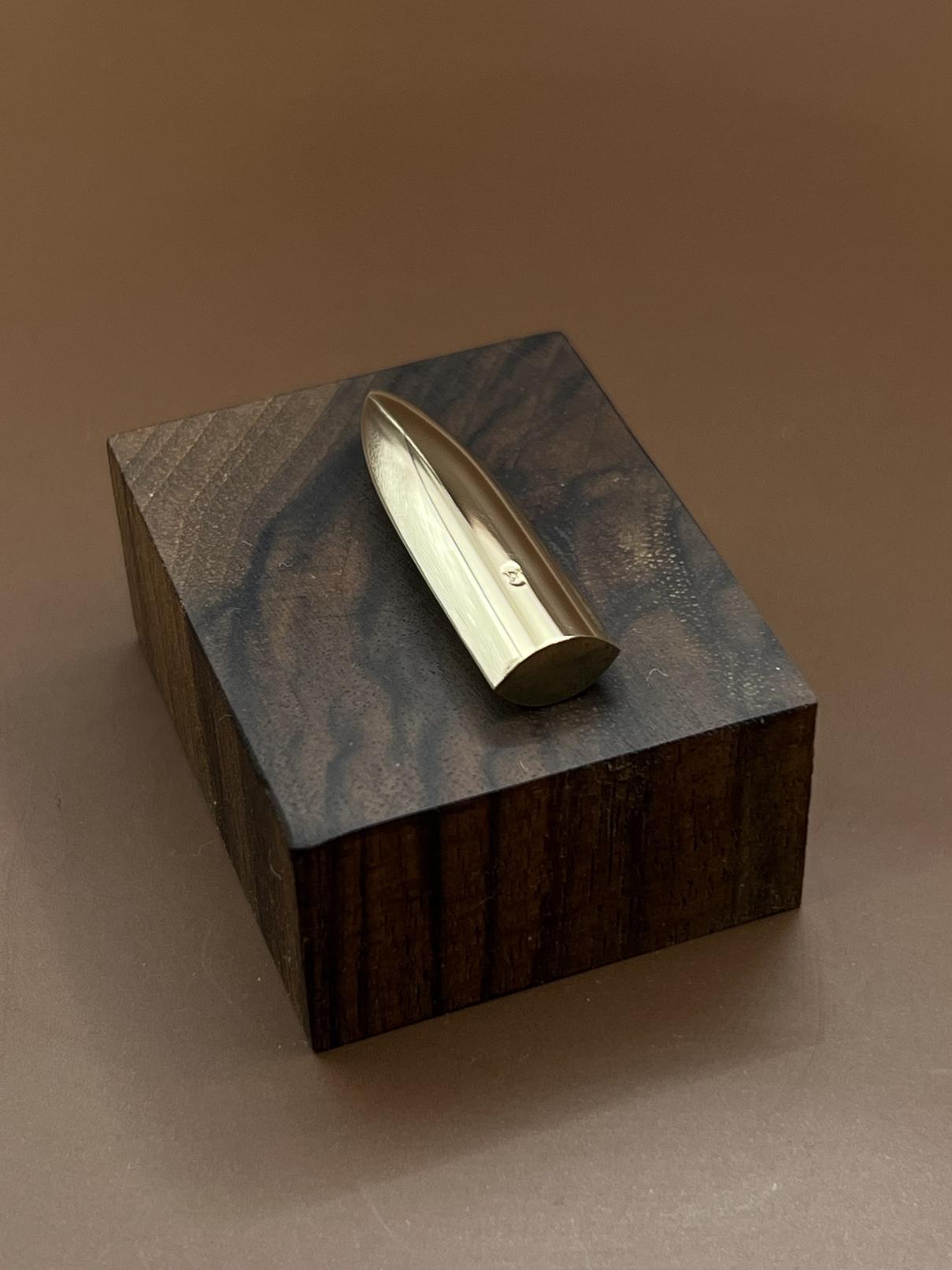 مضراب تار/ فراز